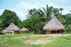 Landschaft in Sierra Leone